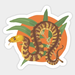 Woma Python and Eucalyptus Branch Sticker